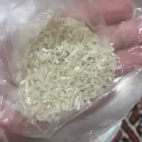 لاشه دم سیاه|خوردنی و آشامیدنی|گنبد کاووس, |دیوار