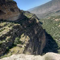 یوردعشایری(وورد)اجاره ای