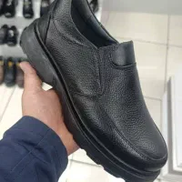 کیف و کفش پریماه|کیف، کفش، کمربند|صومعهسرا, |دیوار