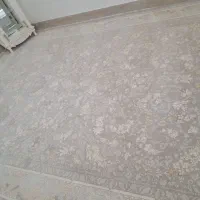 قالی ۱۲ متری|فرش|کوهدشت, |دیوار