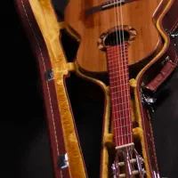 گیتار Doris|گیتار، بیس، امپلیفایر|اصفهان, باغ زرشک|دیوار