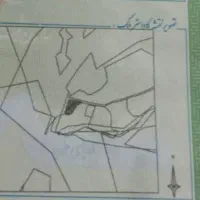 فروش. فوری  باغ انار