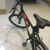 دوچرخه کنندل پلیس|دوچرخه، اسکیت، اسکوتر|اسفراین, |دیوار