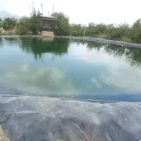فروش باغ  بادام و زمین