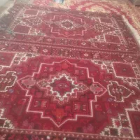 فرش چشمه زان|فرش|اهر, |دیوار