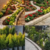باغبانی گل گیاهرس کاری چمن زنی تمیز کردن باغچه