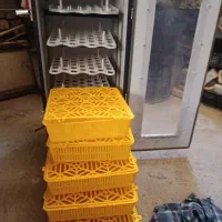 دستگاه جوجه کشی هدایت 210 تایی