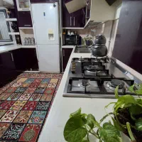 رهن و اجاره خانه ۵۰ متری|اجارهٔ آپارتمان|کرج, گلدشت|دیوار