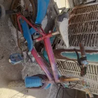 تعدادی  دوچرخه ۱۲ و ۱۴|دوچرخه، اسکیت، اسکوتر|قم, نخودی|دیوار