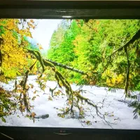 فروش تلویزیون