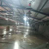 کارگر مرغداری|استخدام صنعتی، فنی، مهندسی|تربت‌حیدریه, ترمینال|دیوار