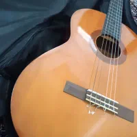 گیتاریاماها|گیتار، بیس، امپلیفایر|گرگان, |دیوار