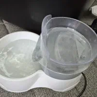 آبخوری گربه و سگ