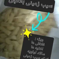 سیب بلانچی ویژه اغذیه، سالاد اولویه، فلافل و کوکو