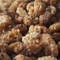 توت خشک محلی شیرین|خوردنی و آشامیدنی|چاراویماق, |دیوار