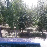 باغ ویلا ۵۰۰ متری انجم آباد،کنتوربرق،گاز،آب|فروش خانه و ویلا|رباط‌کریم, انجم آباد|دیوار