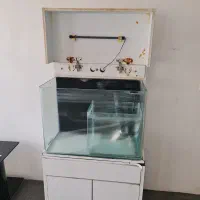 آکواریوم شیشه خم طول ۶۰ ارتفاع ۵۰ عرض ۴۰