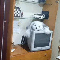 کمد نوجوان جنس mdf خوشرنگ و محکم