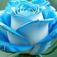 ۸۰۰ هزارتومن رایگان