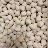 کشک گوسفندی درجه یک