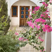 نیروی پذیرشگر خانم