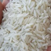 برنج طارم اصل هاشمی