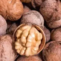 گردو تویسرکان