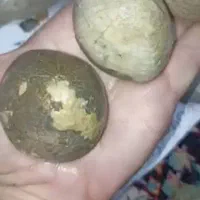 سنگ|جواهرات|خرمشهر, |دیوار