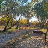 باغ سر سبز ۳۵ قصب