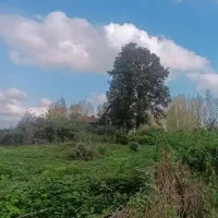 6000متر مربع خونه محوطه سندار|فروش خانه و ویلا|احمدسرگوراب, |دیوار