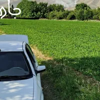 زمین کشاورزی اجاره ی|اجارهٔ دفتر صنعتی، کشاورزی، تجاری|اشترینان, |دیوار