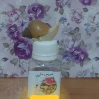 حلز.ون (سرزمین حلز.ون )