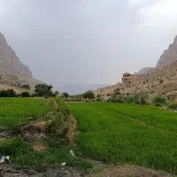 نیرو جهت کار