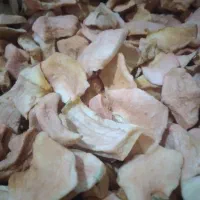 سیب درختی خشک شده