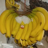 میوه سرای بهارنارنج با قیمت های استثنائی|خوردنی و آشامیدنی|اندیمشک, |دیوار