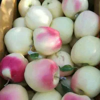 فردس نهال تضمینی|گل و گیاه طبیعی|اصفهان, امامزاده اسماعیل|دیوار