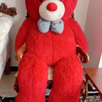 خرس بزرگ نو