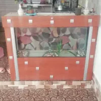 آکواریوم ماهی