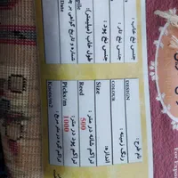 دوعددقالی درحد نو تاحالاباز نشدن|فرش|شهرکرد, |دیوار