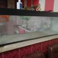 آکواریوم شیشه ضخیم.