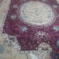فرش درنا|فرش|شیراز, شاپورجان|دیوار
