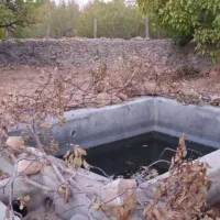 فروش زمین ۷۸۰ متری|فروش زمین و ملک کلنگی|باغ بهادران, |دیوار