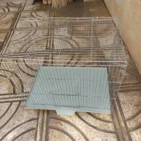 پرنده هفت رنگ باقفس تکی هم میدم