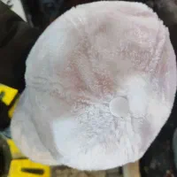 کلاه تدی دخترونه|لباس|الوند, |دیوار