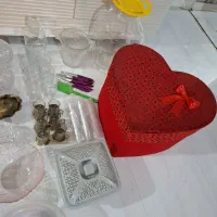 مروارید  قدیمی دریایی|کلکسیون اشیاء عتیقه|تبریز, |دیوار