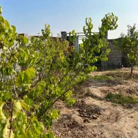 باغچه زمین ۴۰۰ متری.اطراف ویلایی.سند معتبر