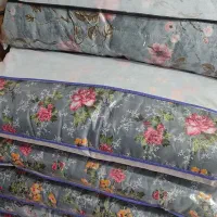 تشک اقتصادی مهمان