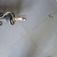 شاگرد نان روغنی