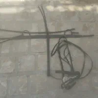 سرکله گیر اسب