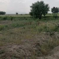 زمین کشاورزی ۸/۵ هکتاری در مامونیه متری ۱۰۰|فروش زمین و ملک کلنگی|تهران, بوستان ولایت|دیوار